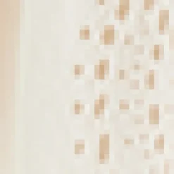Broderie Anglaise Top