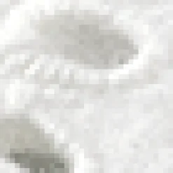 Broderie Anglaise Top
