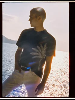 Palm Tree Embroidery T-Shirt