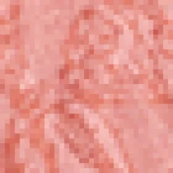 Shell Jacquard Blazer